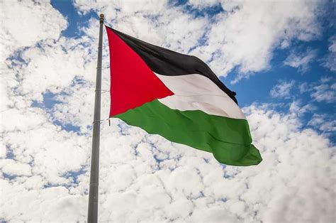 palästinensische flagge